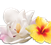 Airwick_Fragrances_1.2_Floral.png